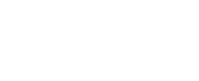 Adobe Partner